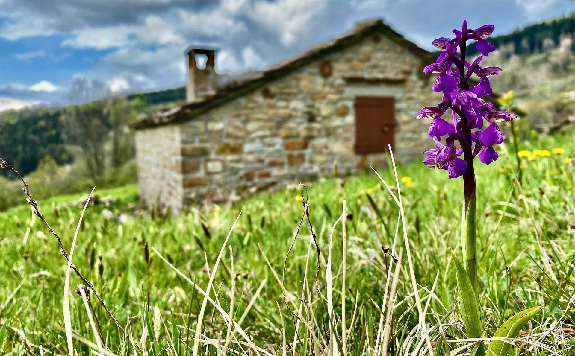 Escursionismo all’Alpe di Monghidoro
